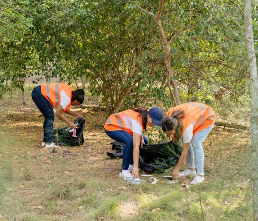 Yard Cleanup